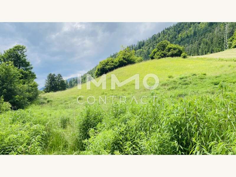 Grundstücke mit Altbestand - Bild 9 von 10 Landwirtschaftsimmobilie in 9772 - 9