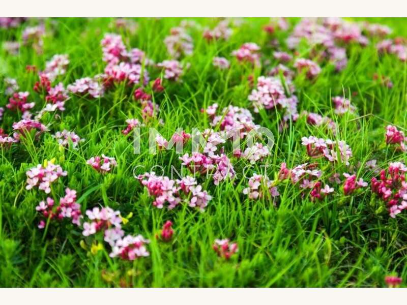 Baugrundstück in 3180  - 4