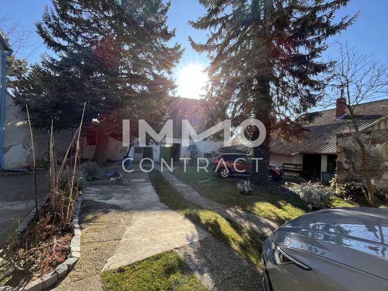 Garten - Einfamilienhaus Drasenhofen - Bild 1 von 16 Einfamilienhaus in 2165 - 1