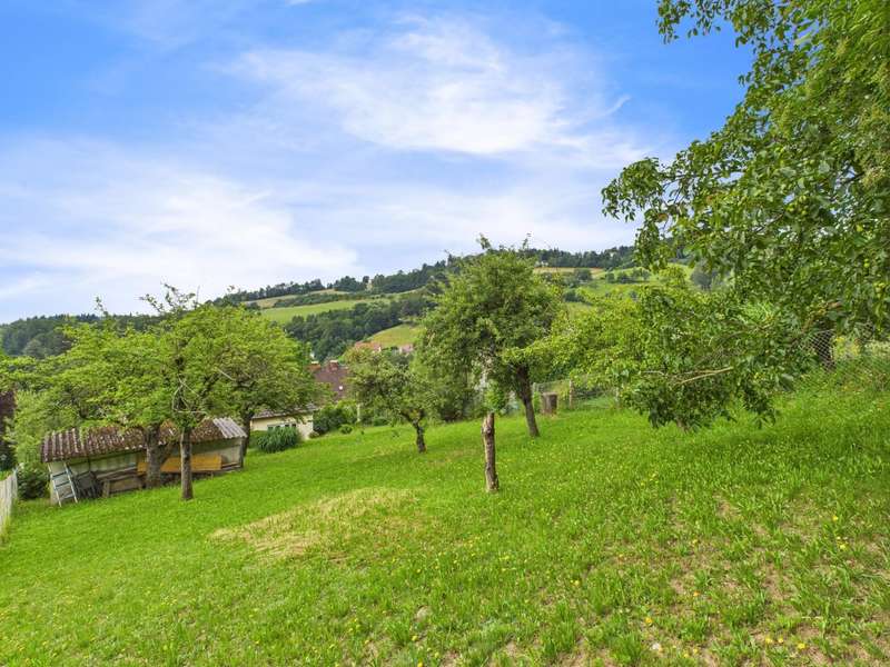 CAM04191G0-PR0040-STILL010 - Bild 5 von 6 Einfamilienhaus in 4040 - 5