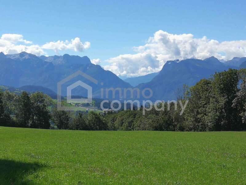 Landwirtschaft in 5020  - 1