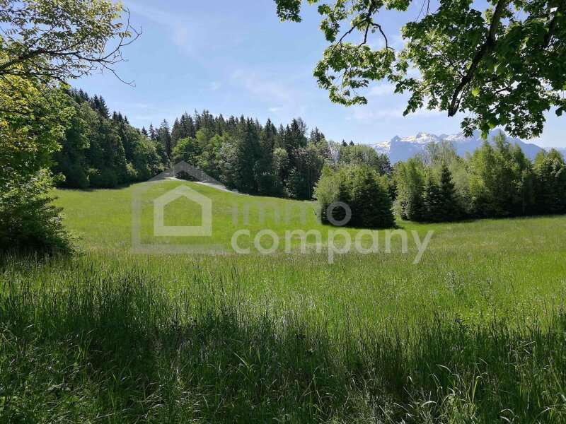 Landwirtschaft in 5020  - 3