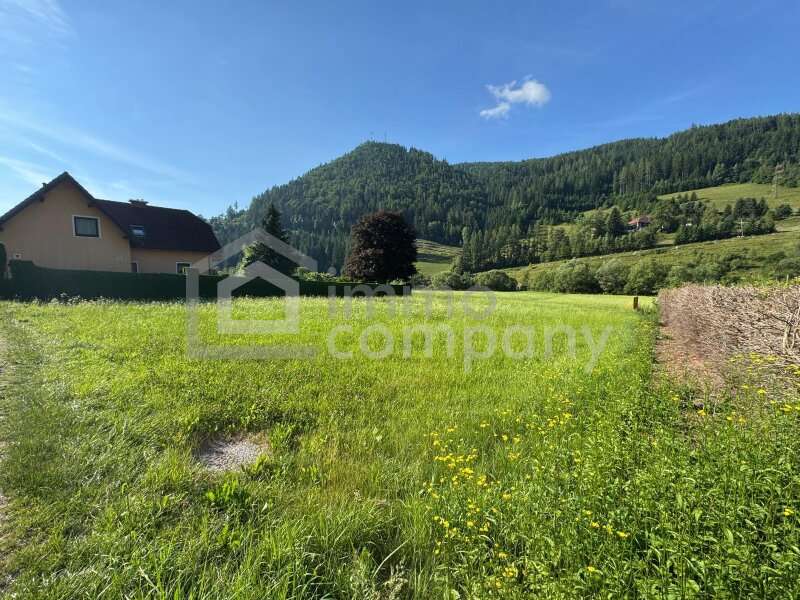 Baugrundstück in 8611  - 3