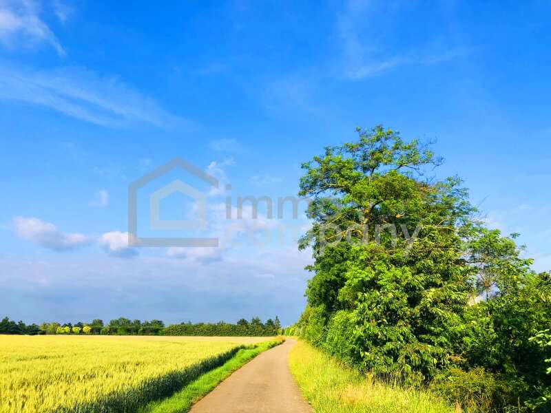 Landwirtschaftsgrund in 2424  - 1