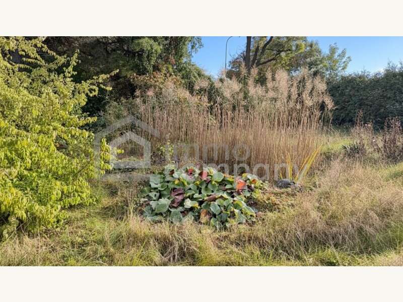 Baugrundstück in 2721  - 4