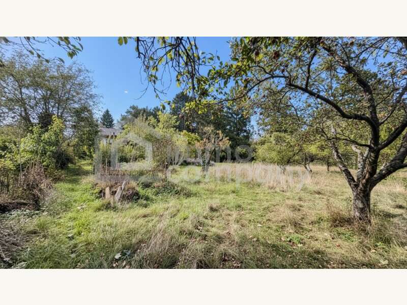 Baugrundstück in 2721  - 5