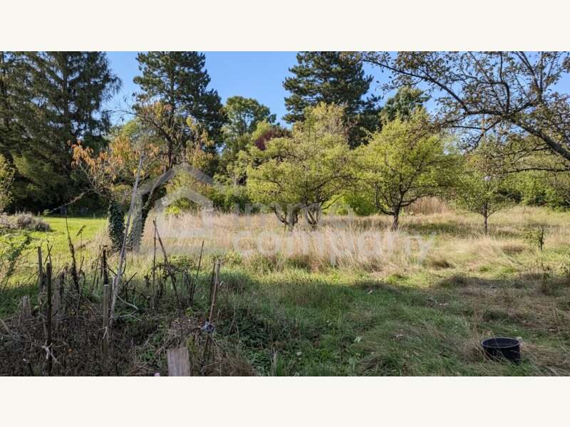 Baugrundstück in 2721  - 6