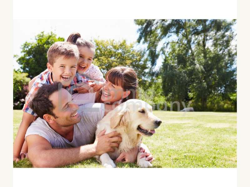 Dillach Grundstück - Bild 1 von 3 Grundstück in 8072 - 1