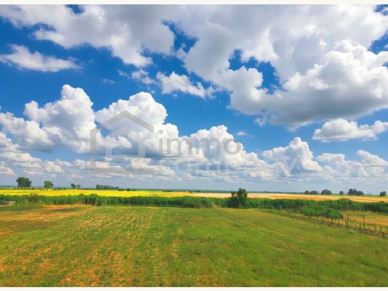Pama Landwirtschaftsgrund - Bild 1 von 2 Landwirtschaftsgrund in 2422 - 1