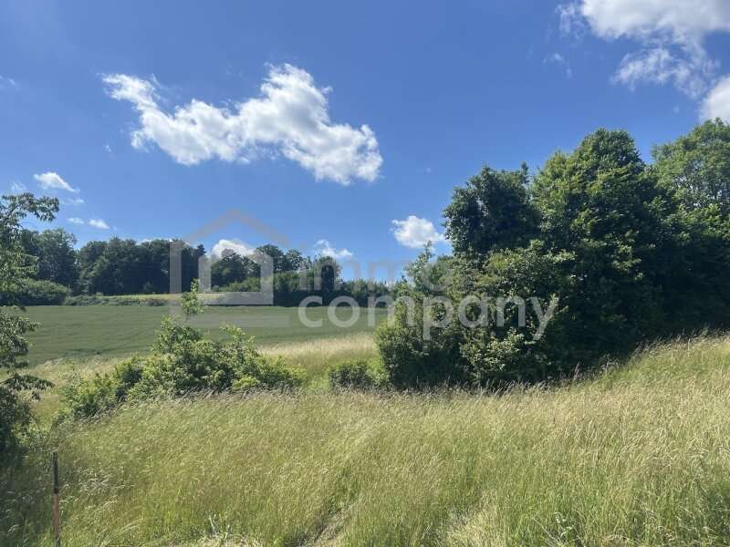 Weichselbaum Haus - Bild 4 von 11 Haus in 8382 - 4