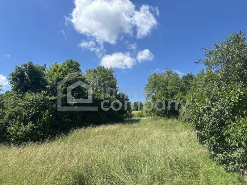 Weichselbaum Haus - Bild 5 von 11 Haus in 8382 - 5