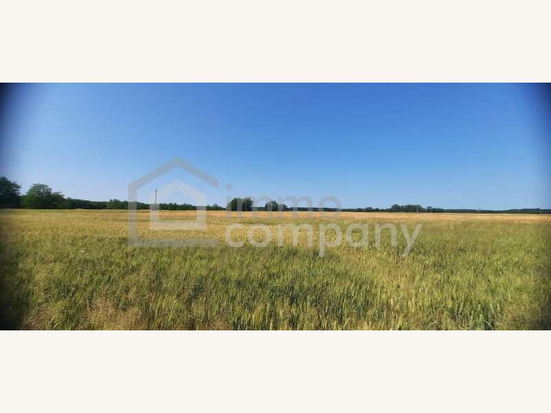 Bauernhaus in 9363  - 7