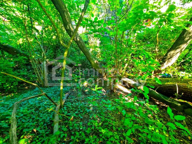 Tullnerbach-Lawies Haus - Bild 4 von 8 Haus in 3013 - 4