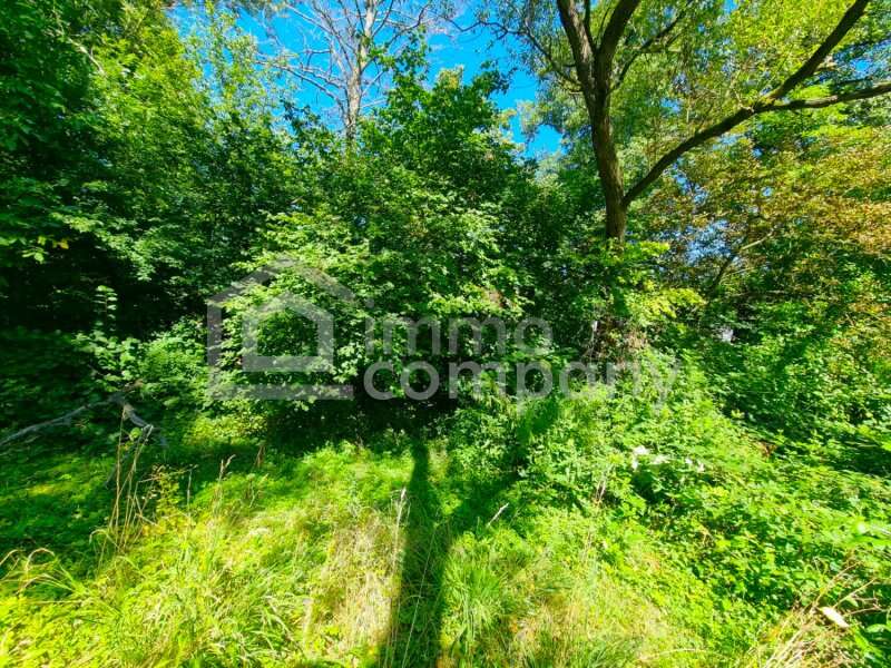 Tullnerbach-Lawies Haus - Bild 5 von 8 Haus in 3013 - 5