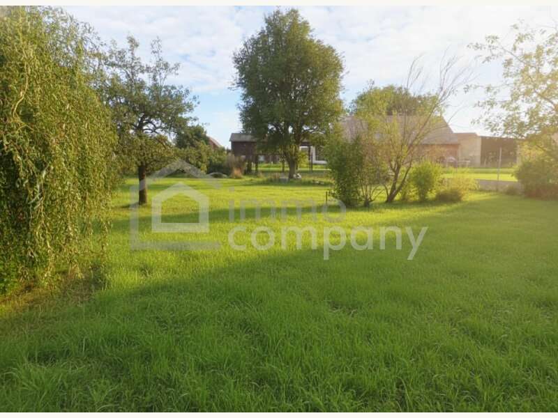 Einfamilienhaus in 2181  - 10