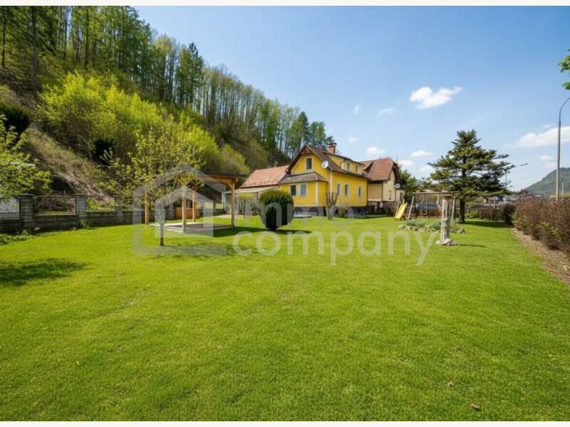 Sommerfoto Garten - Bild 4 von 10 Einfamilienhaus in 2831 - 4