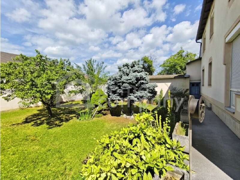 Gols Einfamilienhaus - Bild 3 von 8 Einfamilienhaus in 7122 - 3