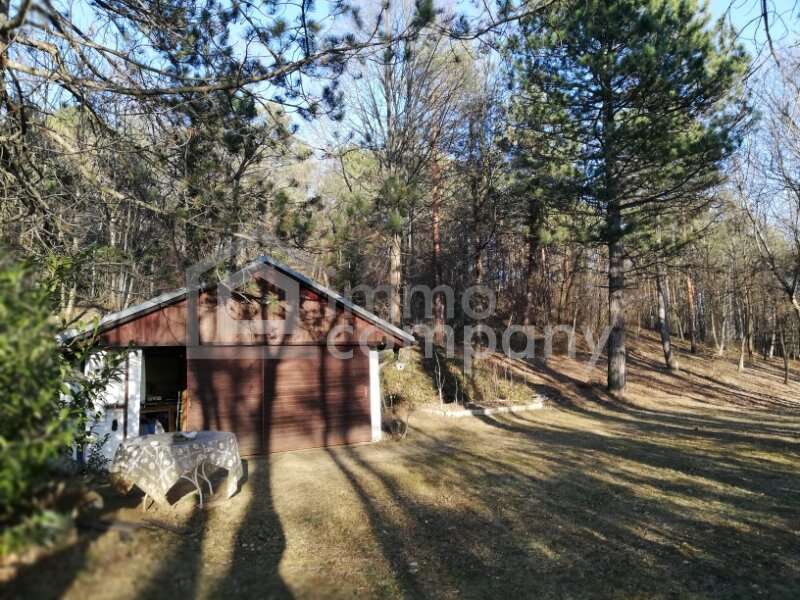Brunn bei Pitten Einfamilienhaus - Bild 10 von 14 Einfamilienhaus in 2823 - 10