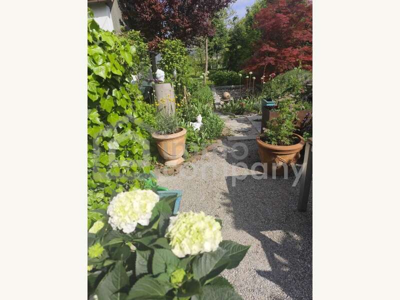 Blühender Ziergarten - Bild 13 von 15 Einfamilienhaus in 2625 - 13