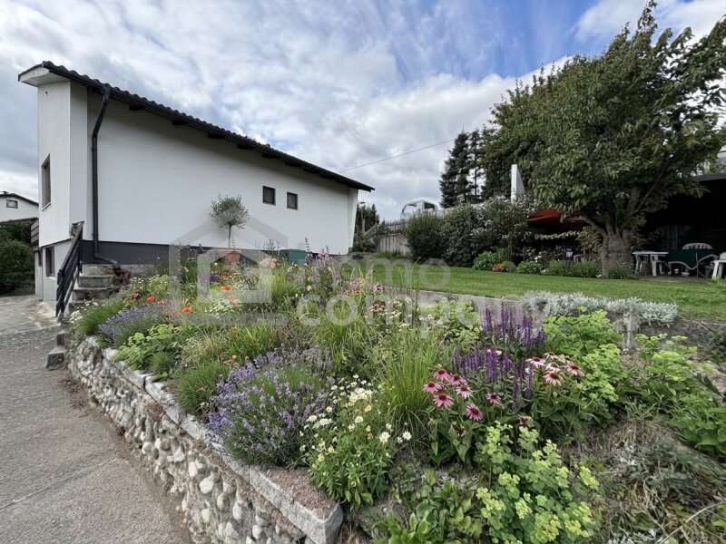 Einfamilienhaus in 4600  - 1