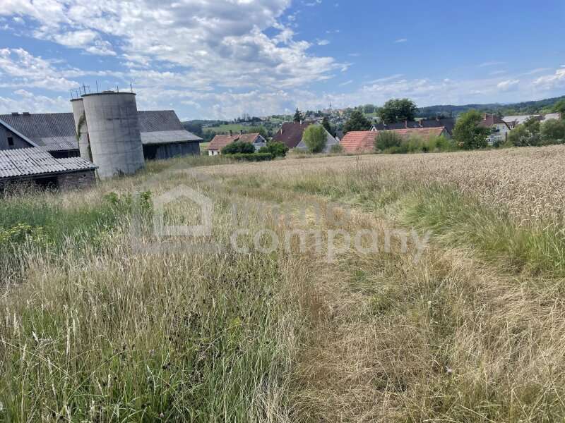 Fladnitz im Raabtal Bauernhaus - Bild 2 von 12 Bauernhaus in 8322 - 2