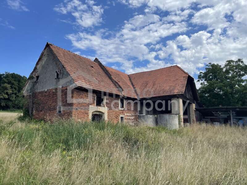 Fladnitz im Raabtal Bauernhaus - Bild 3 von 12 Bauernhaus in 8322 - 3