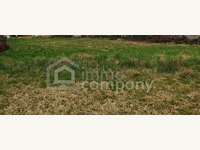 Baugrundstück in Frauenkirchen