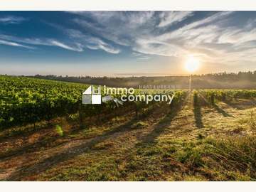 Landwirtschaft in Wien