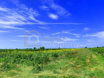 Baugrundstück in Winden am See