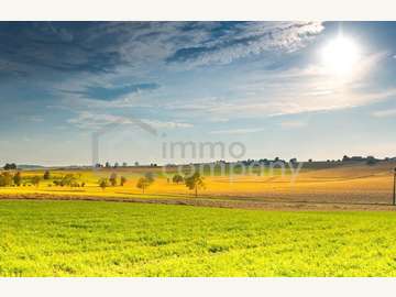 Grundstück in Purbach am Neusiedler See