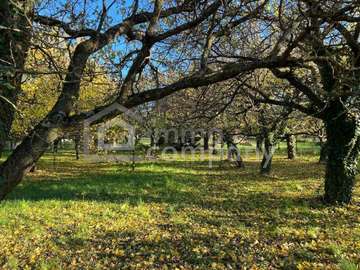 Grundstück in Hornstein