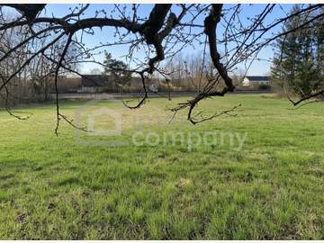 Baugrundstück in Winzendorf