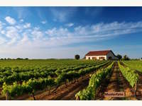 Industrieanlage in Gols