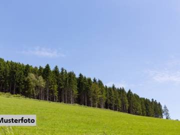 Landwirtschaftsgrund in St. Lorenzen am Wechsel