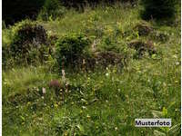 Landwirtschaftsgrund in Mürzzuschlag