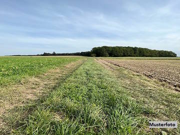 Landwirtschaftsgrund in Auerbach