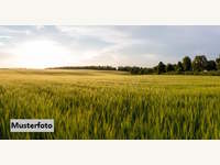 Landwirtschaftsgrund in Muthmannsdorf angrenzend an Dreistetten