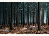 Landwirtschaftsgrund in Lavamünd