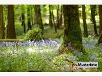 Landwirtschaftsgrund in Alpbach