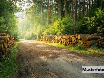 Landwirtschaftsgrund in St. Lorenzen am Wechsel