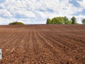 Landwirtschaftsgrund in Auerbach