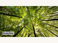 Landwirtschaftsgrund in Alpbach