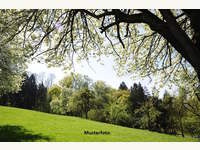 Landwirtschaftsgrund in Inzersdorf im Kremstal