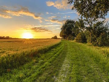 Landwirtschaftsgrund in Kukmirn