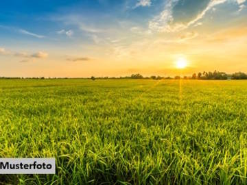 Landwirtschaftsgrund in Wartmannstetten