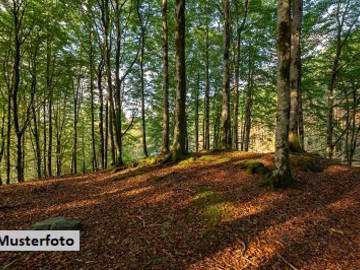Landwirtschaftsgrund in Natschbach