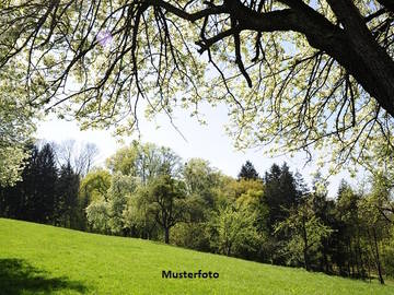 Landwirtschaftsgrund in Bludenz