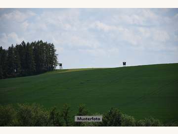 Landwirtschaftsgrund in Goldwörth