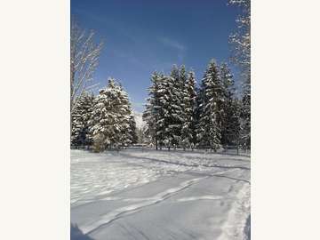 Reiterhof in Zell am See