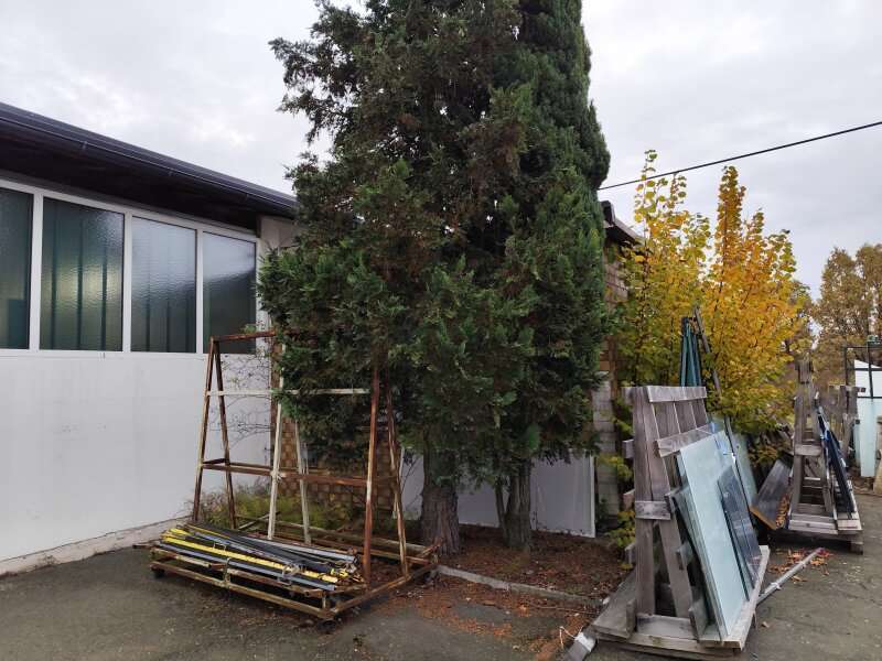 Großpetersdorf Produktionshalle - Bild 5 von 5 Produktionshalle in 7503 - 5